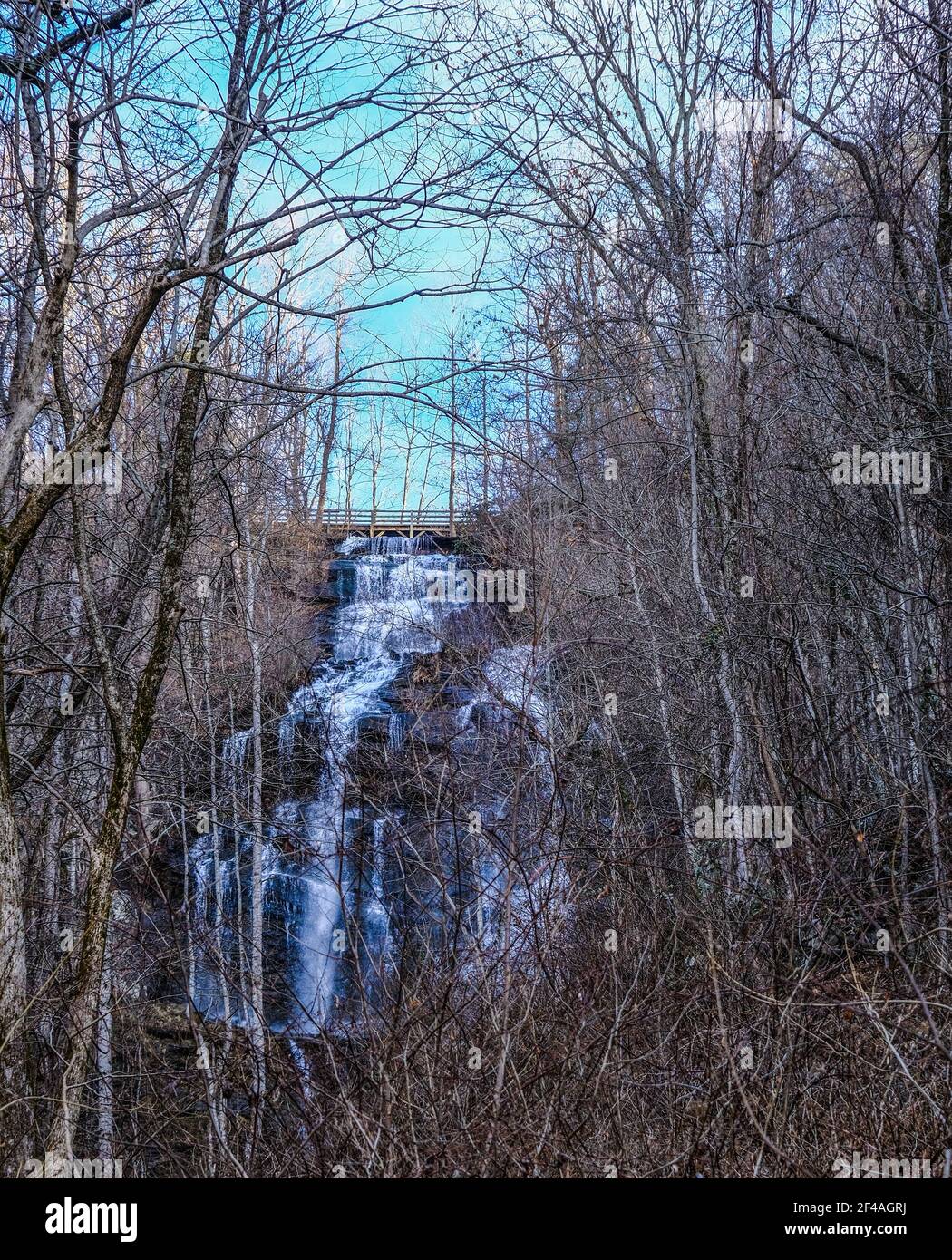 Wtaerfall Tree Winter Trees and Waterfall Stock Photo - Alamy