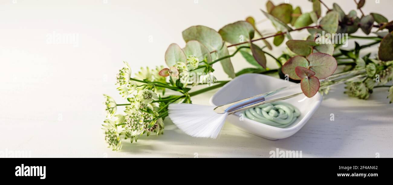 Cosmetic moisturizer mask in a bowl with a brush and green flower branches on a light background, panoramic format, copy space, selected focus, narrow Stock Photo