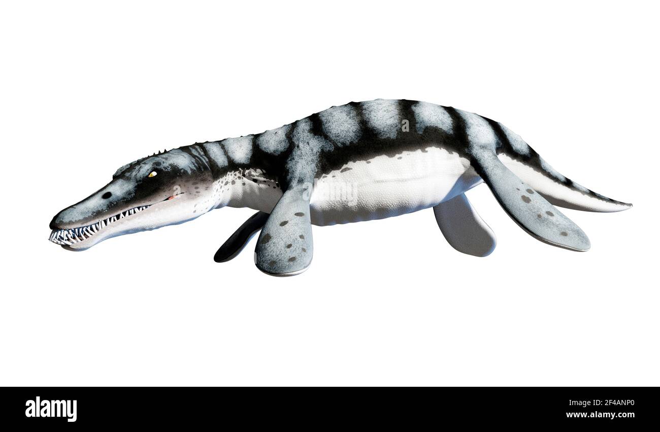 Artwork of marine reptile liopleurodon Stock Photo