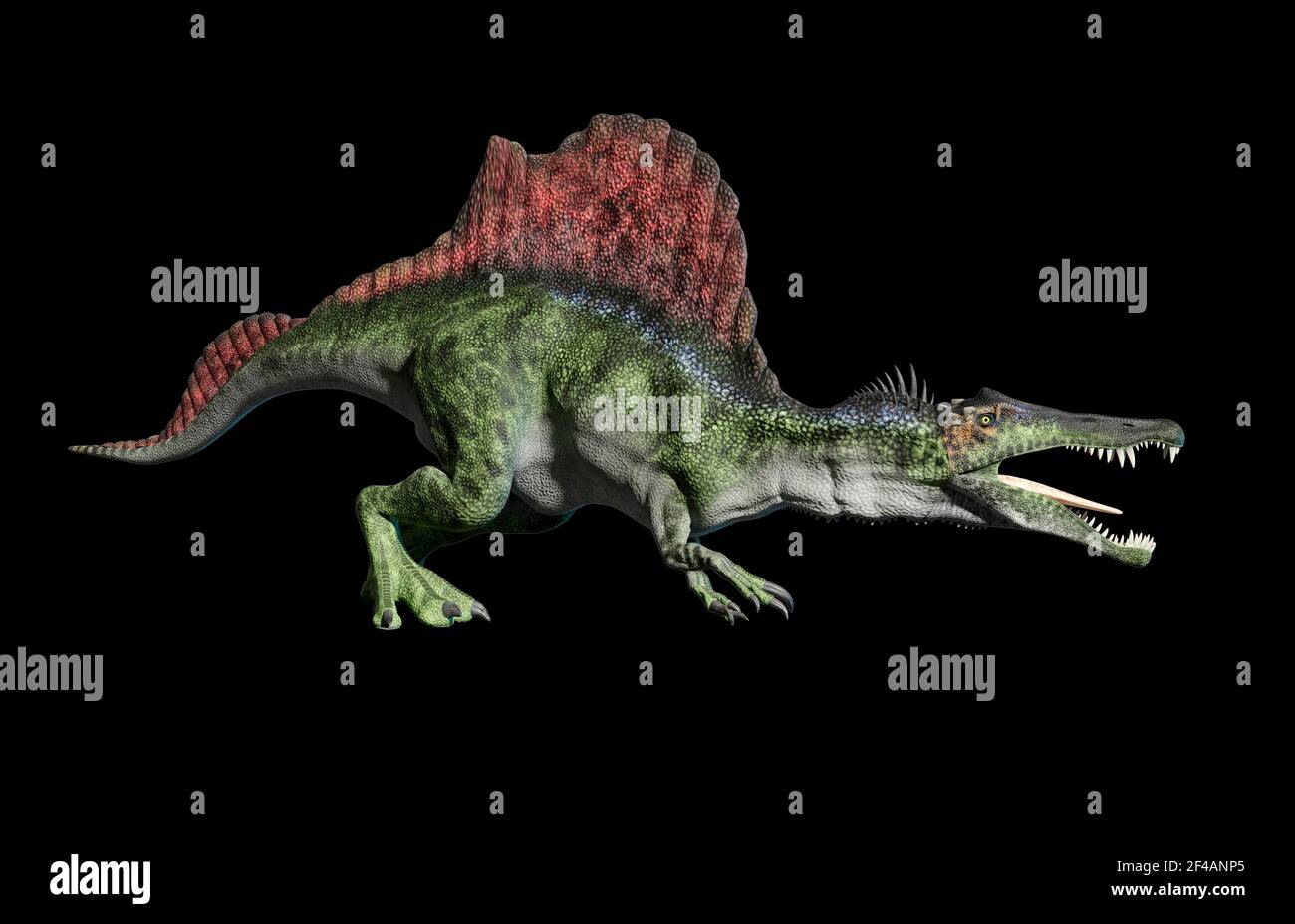 Artwork of spinosaurus aegyptiacus Stock Photo