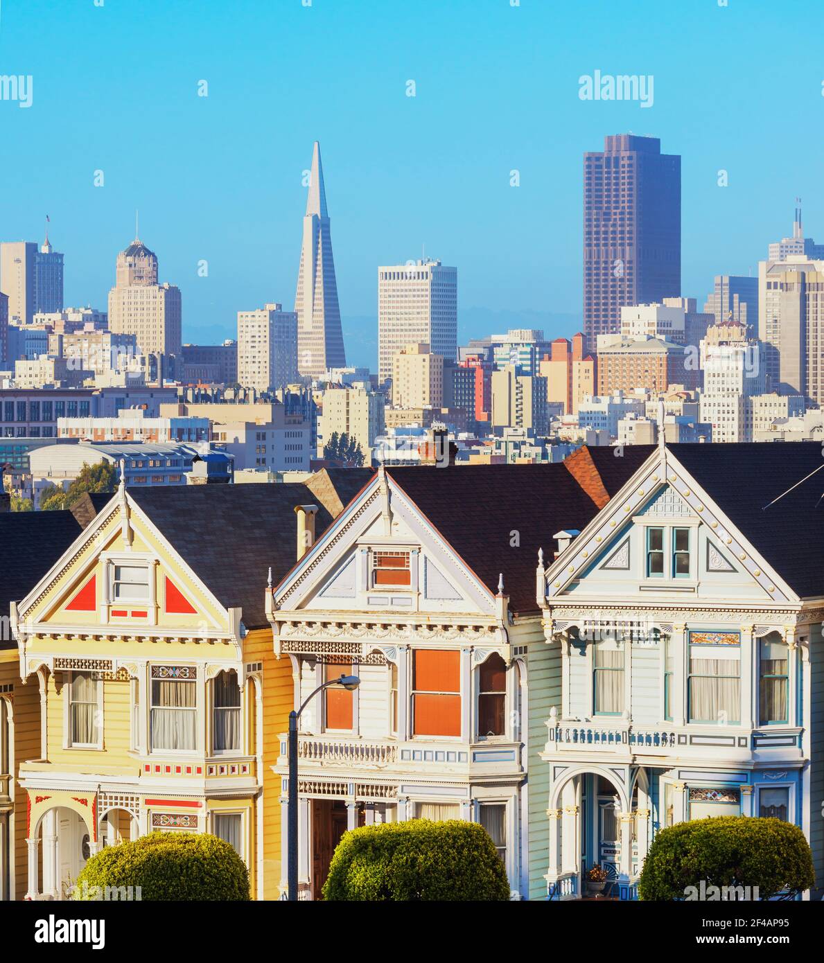 The Painted Ladies Alamo Square San Francisco California USA Stock The Painted Ladies Alamo Square San Francisco California Usa 2F4AP95