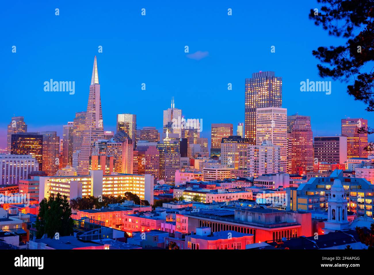 Downtown and TransAmerica Building, San Francisco, California, USA Stock Photo