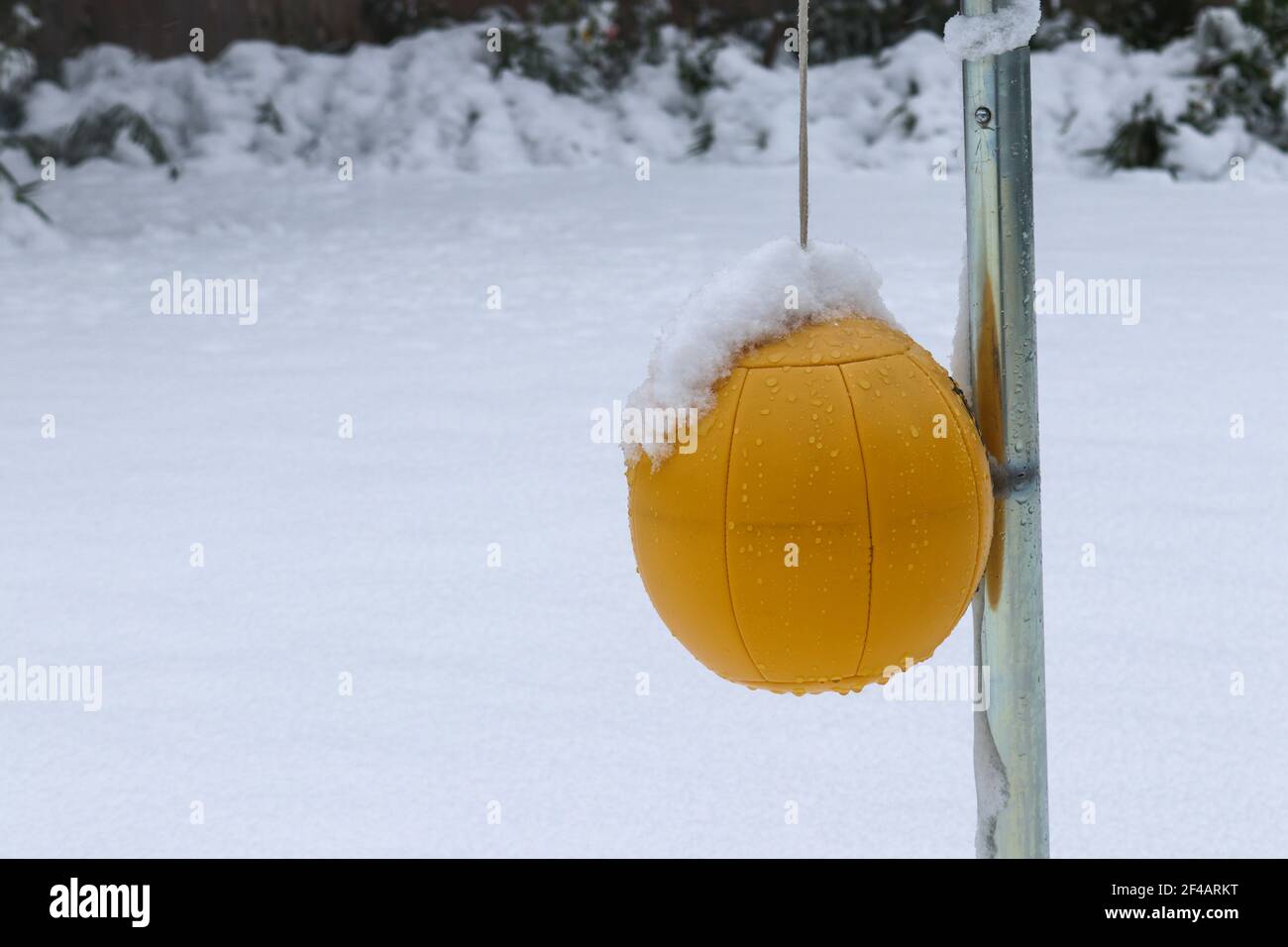 Yellow Tetherball in the snow Stock Photo Alamy
