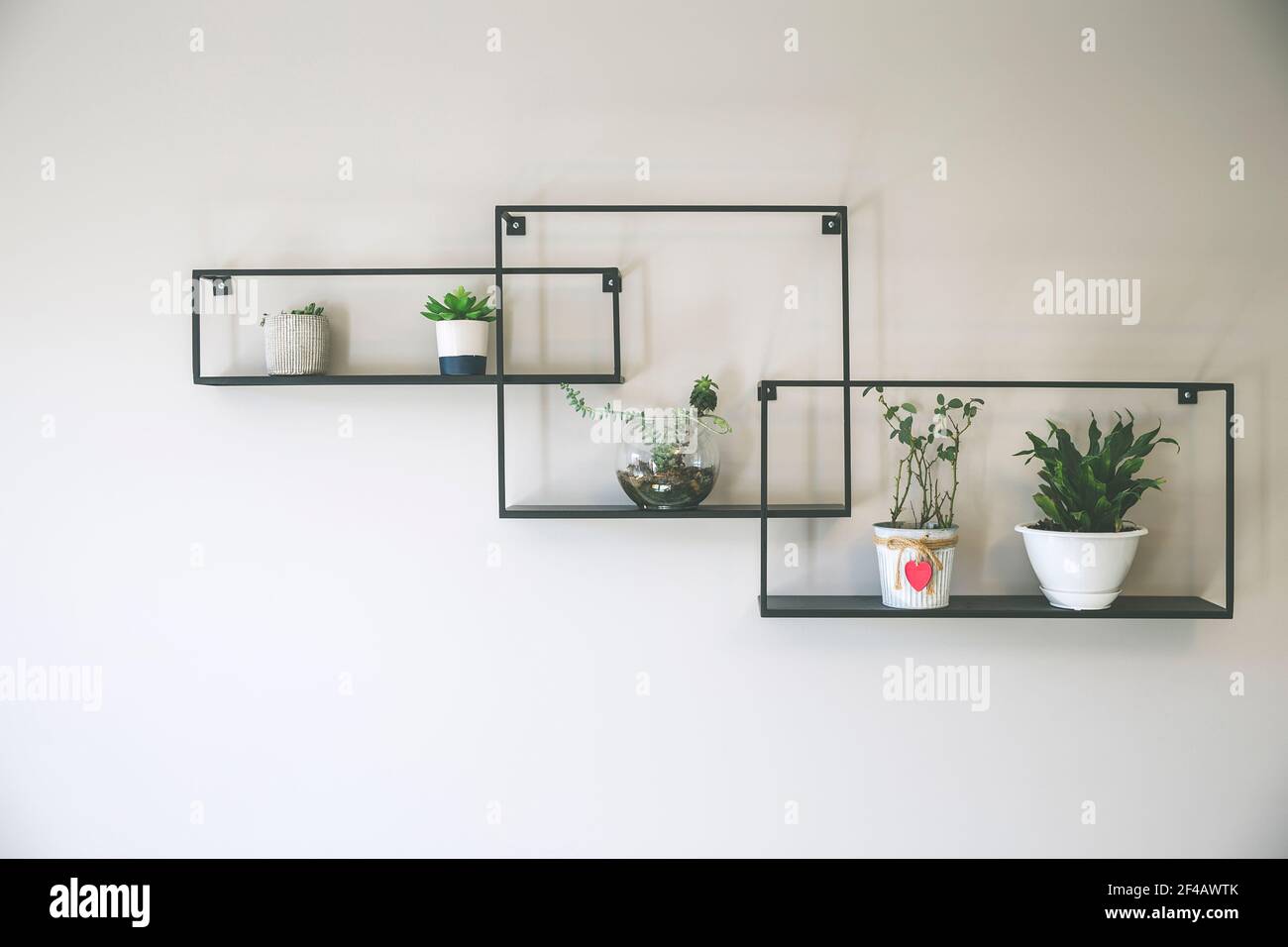 Three decorative metal rectangular and square shape shelves. Plants on the  wall Stock Photo - Alamy