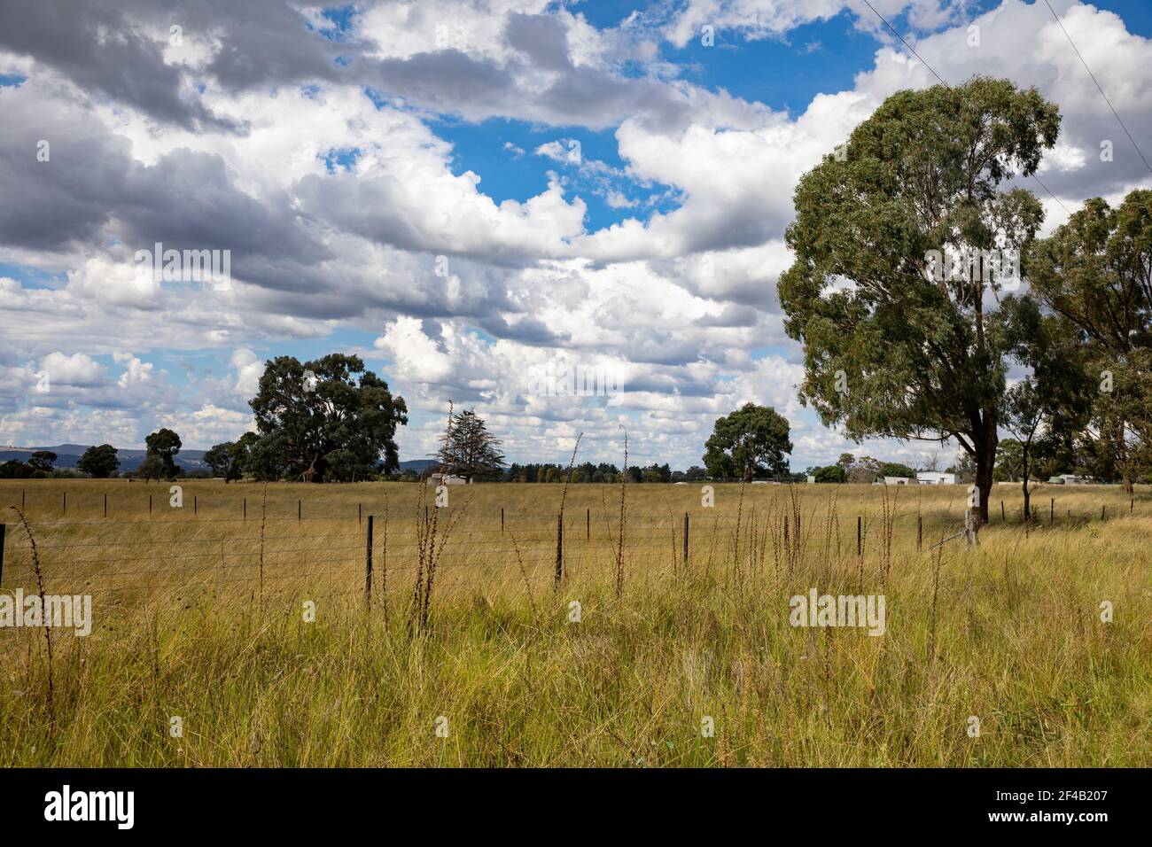Green Landscape In Regional Nsw In The Mudgee Wine Region Australia Stock Photo Alamy