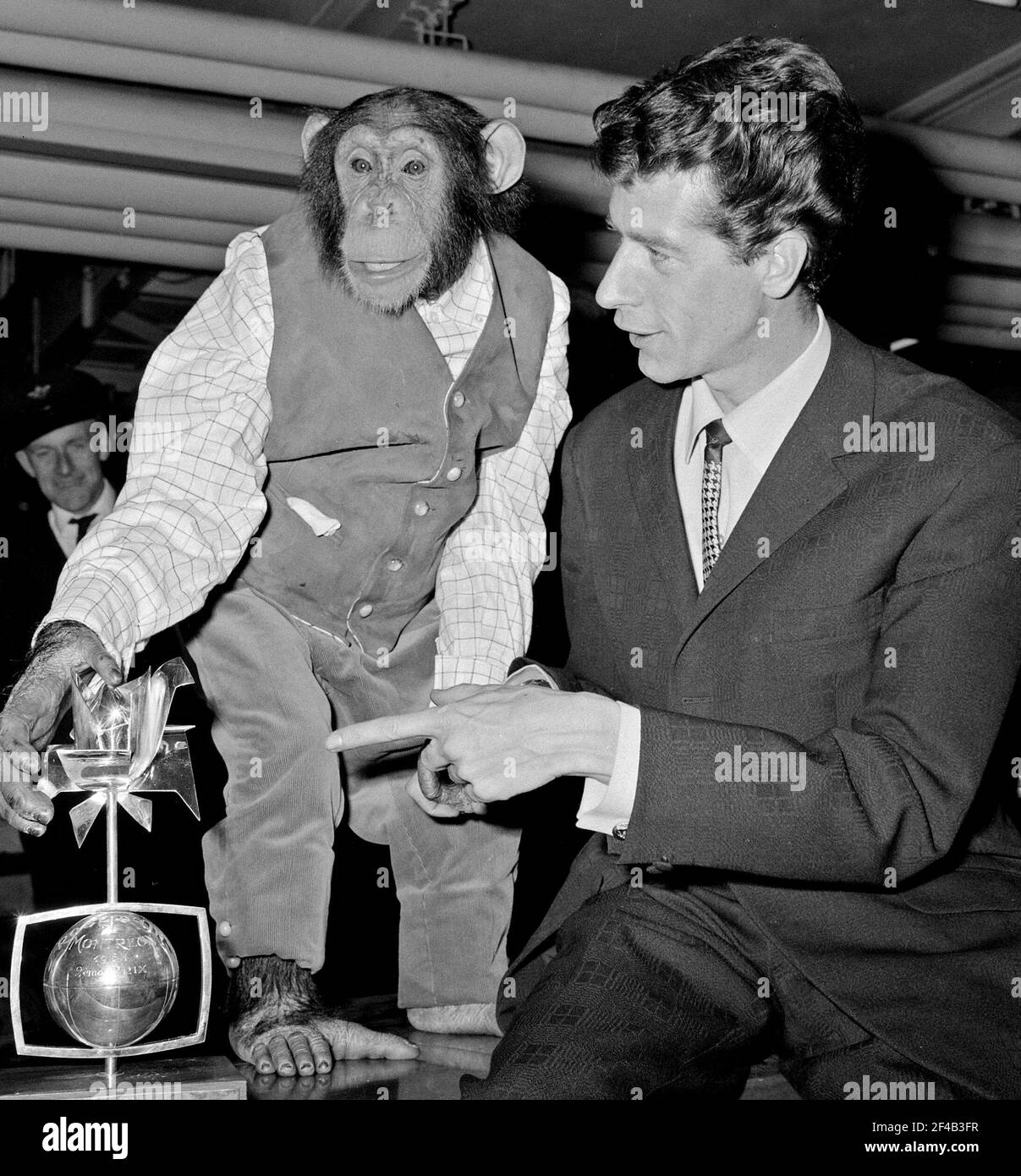 Rudi Carrell has won the silver rose. Rudi Carrell with chimpanzee Plato playing in his show Date April 25, 1964 Location Noord-Holland, Schiphol Stock Photo