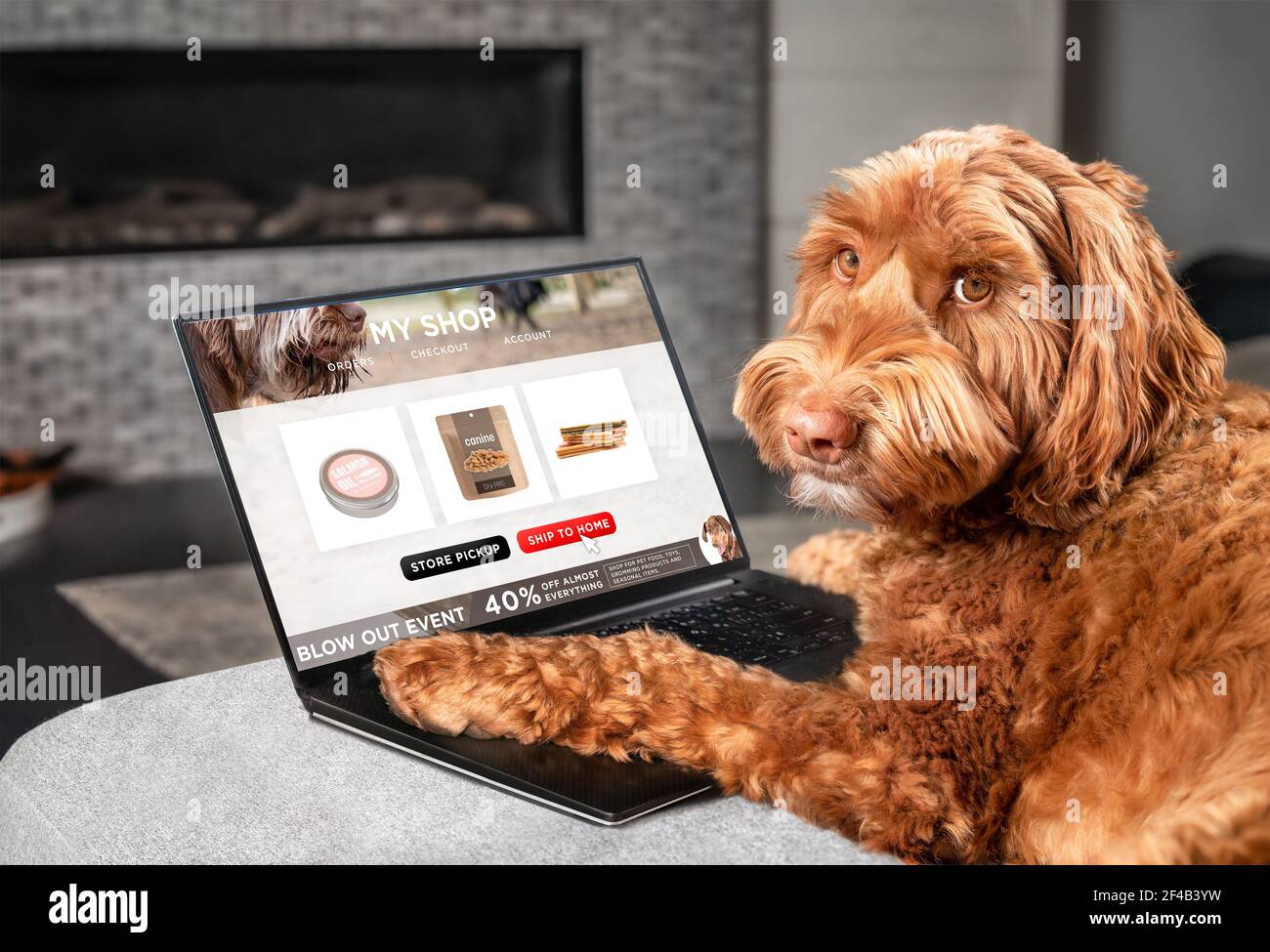 Labradoodle dog ordering online by internet for home delivery. Paws on laptop with a food shopping product selection. Concept for pets using technolog Stock Photo