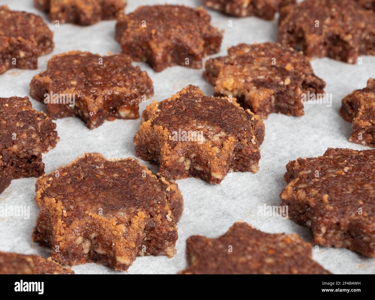 Rows of gluten free almond flour and chocolate cookie in shape of a star with sugar cinnamon rim, ready to be baked. Swiss recipe 'Basler Brunsli'. GF Stock Photo