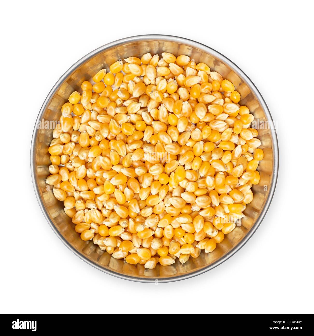 Is Corn Gluten Meal Good For Dogs