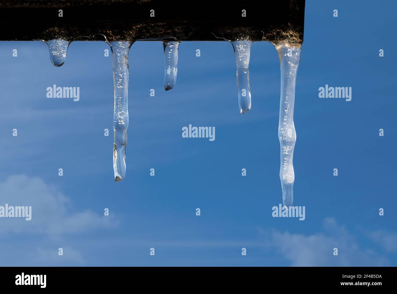 Icicles on a bright sunny with subfreezing temperature.  Multiple elongated frozen ice formations hanging of a ledge. Blue Sky with clouds. Ice backdr Stock Photo