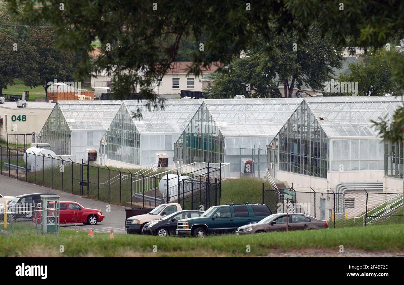 Department of agriculture beltsville hires stock photography and images Alamy