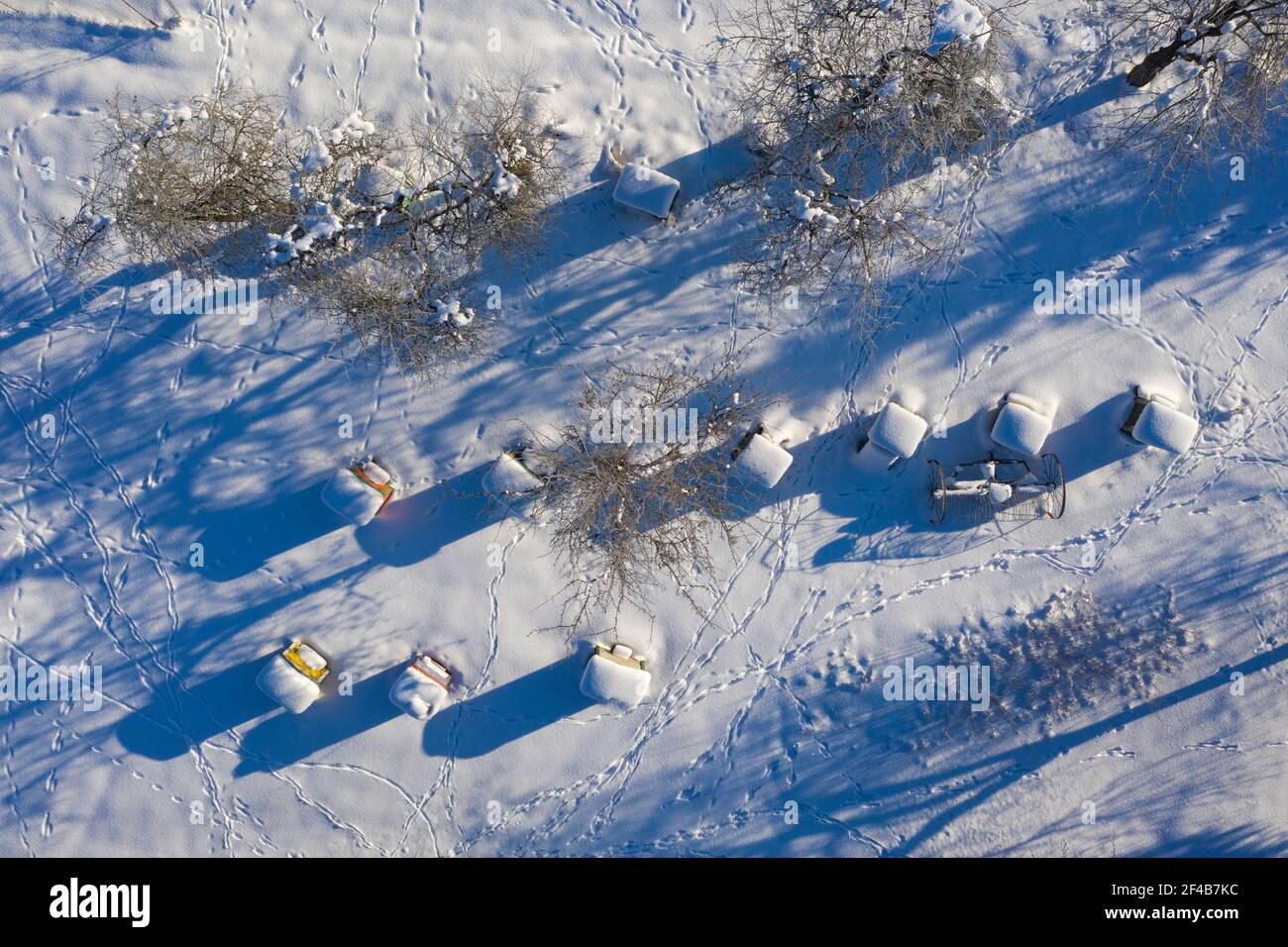 Hives covered in snow hi-res stock photography and images - Alamy