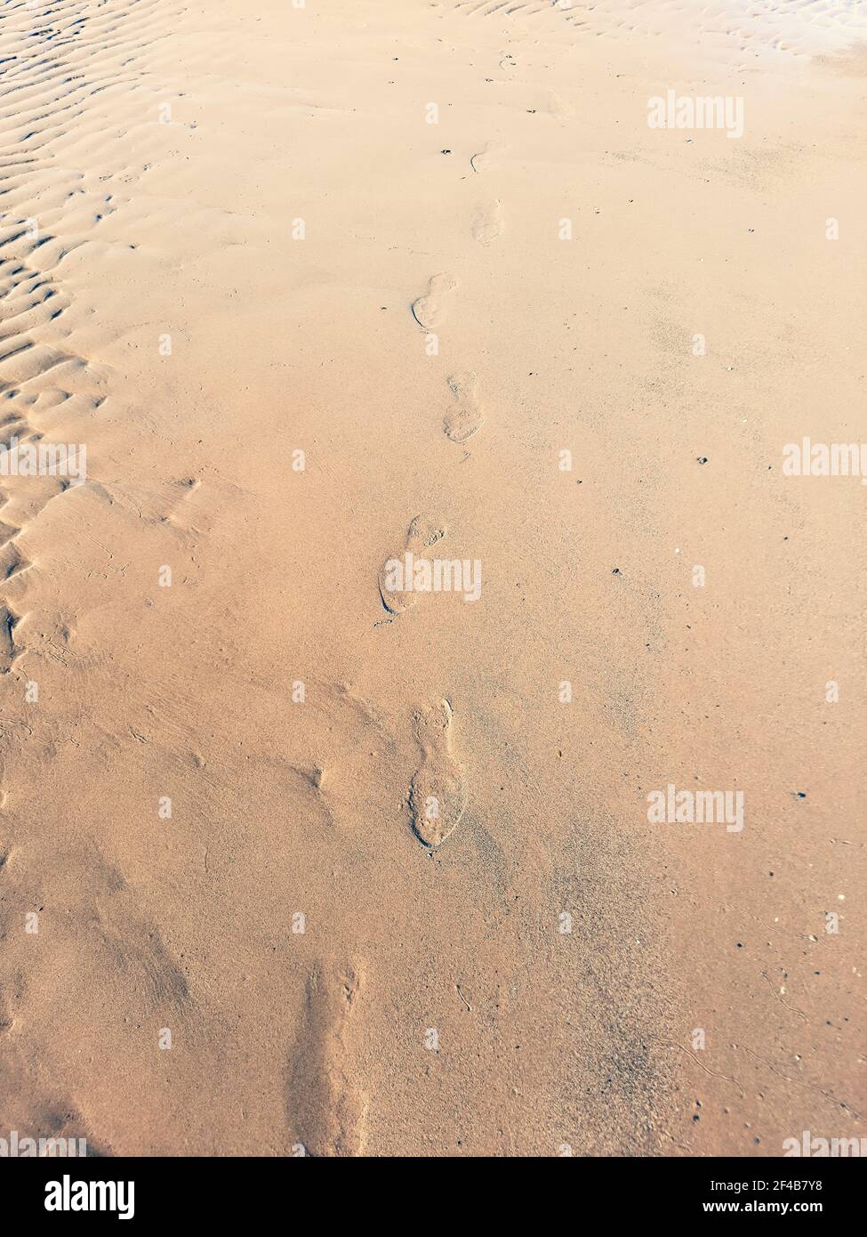 Footprints of a man on the sand of the beach Stock Photo - Alamy