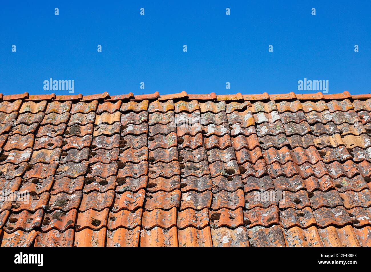 Old roof tiles. Stock Photo