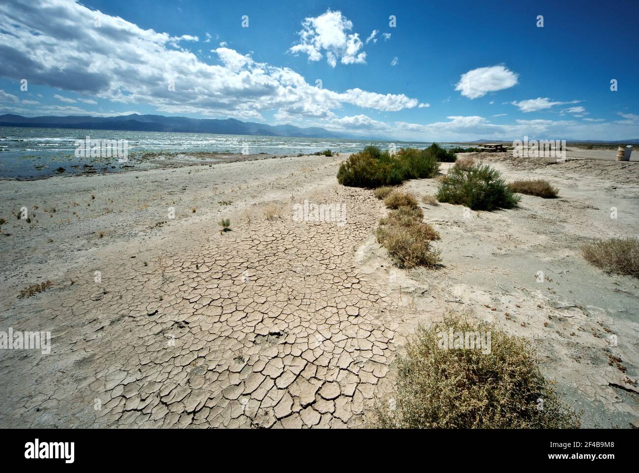 Receding shoreline on the east side of the Salton Sea, California ca ...