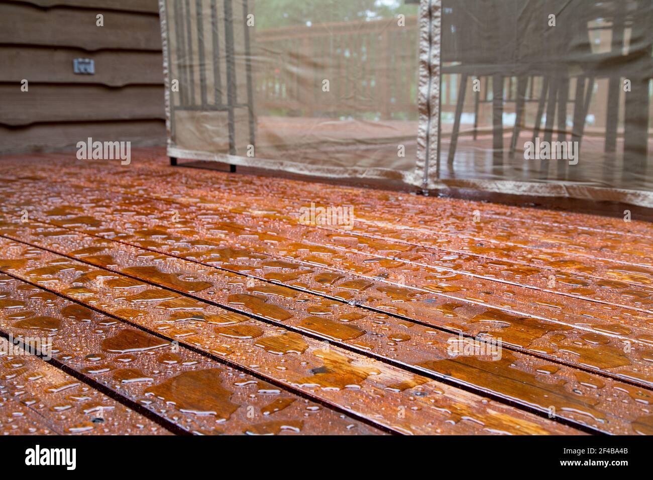 Water beads up on a freshly sealed wood deck after a morning rainstorm at the cottage. Stock Photo