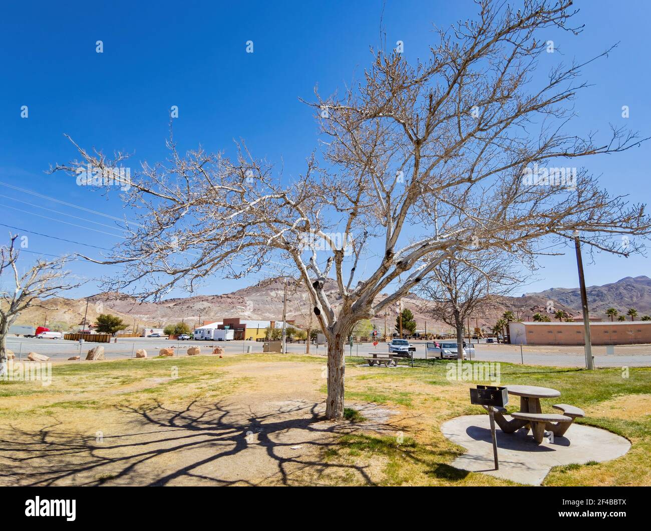 Nature landscape of the Cottonwood Park at Beatty Stock Photo Alamy