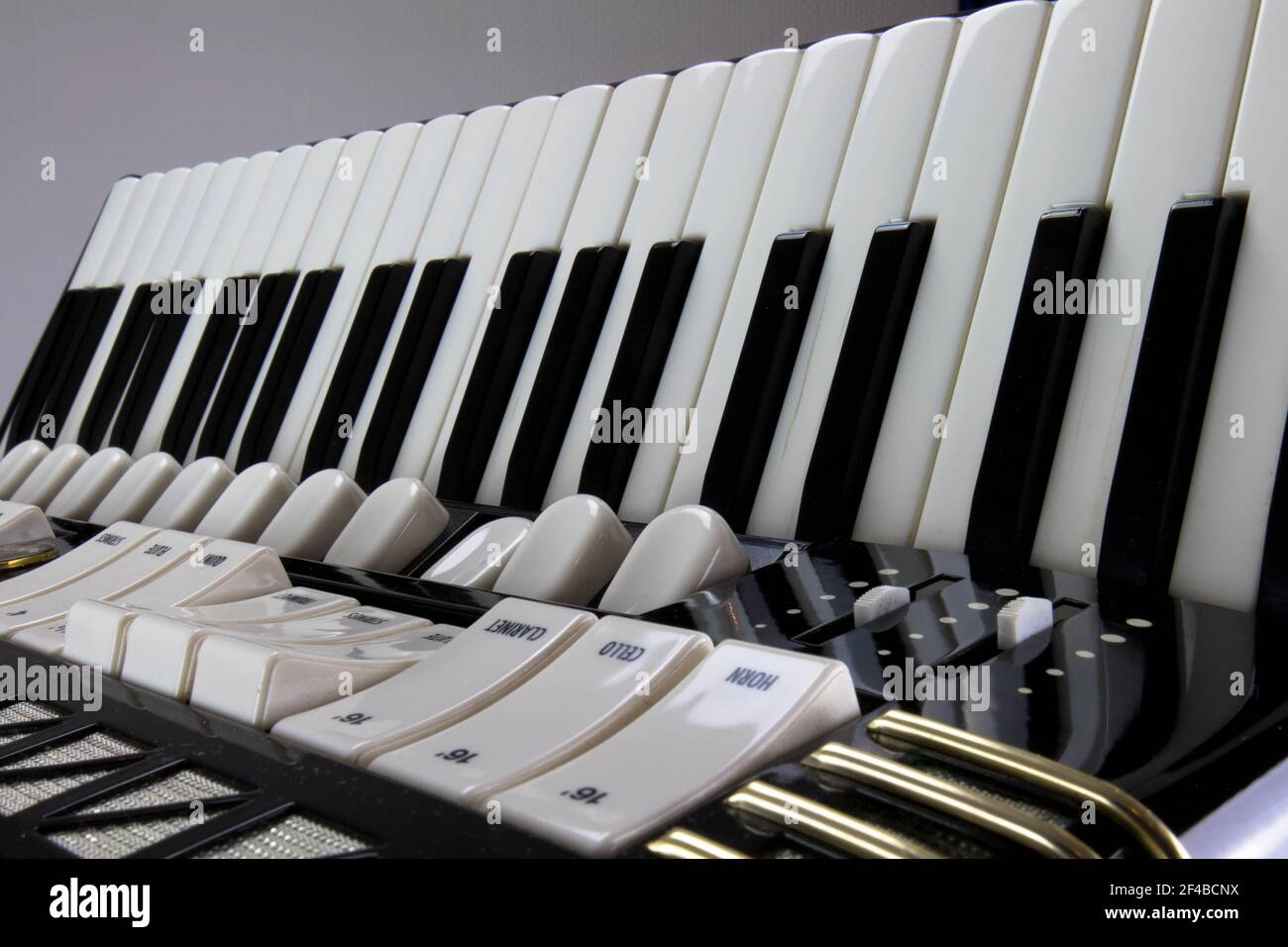 White and black accordion. Keys and buttons close up Stock Photo