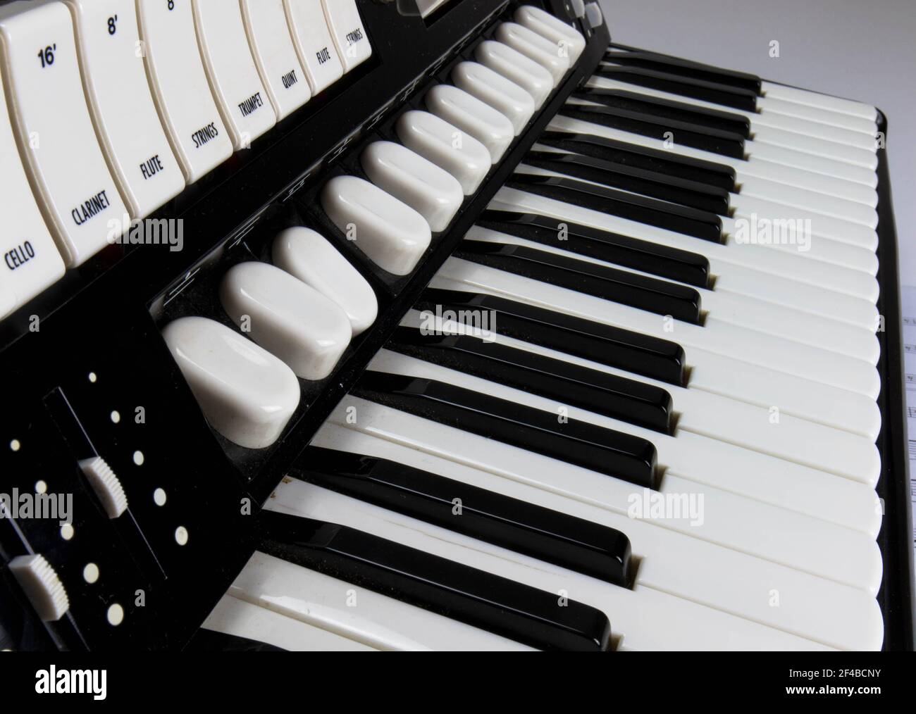 White and black accordion. Keys and buttons close up Stock Photo Alamy