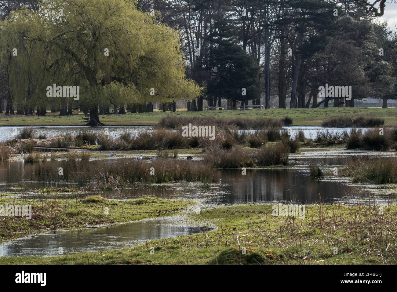 global warming and rising waters Stock Photo - Alamy