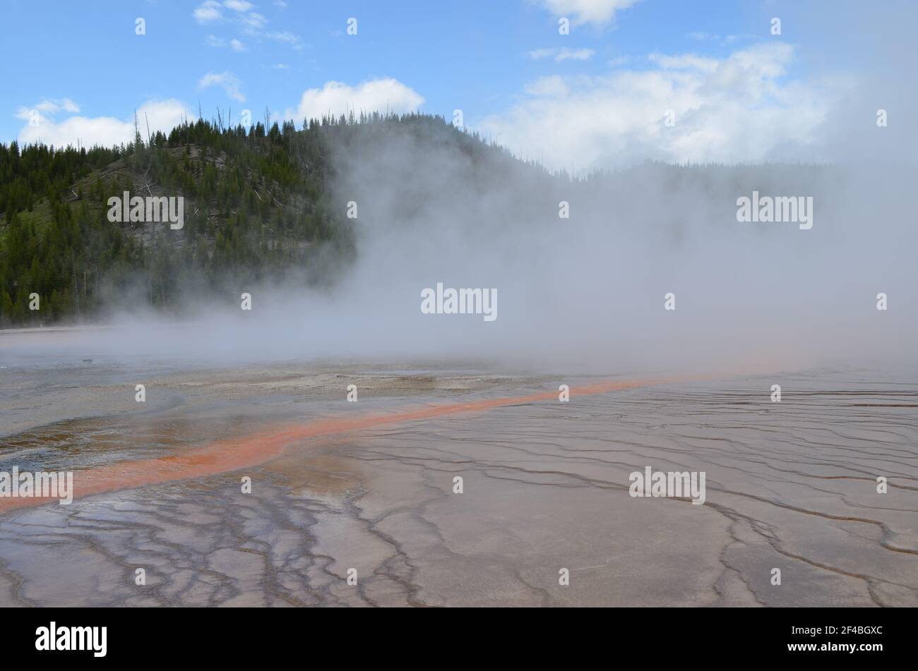 Late Spring in Yellowstone National Park: Bright Streamer From Steam-covered Grand Prismatic Spring of the Excelsior Group in Midway Geyser Basin Stock Photo