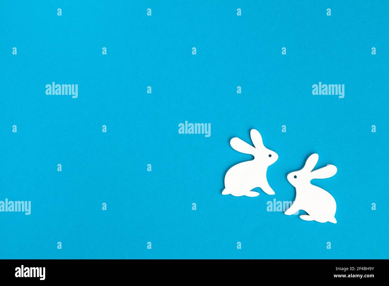 Happy Easter. Congratulatory easter background. Two white Easter bunny on blue background. Minimal Easter concept. Stock Photo