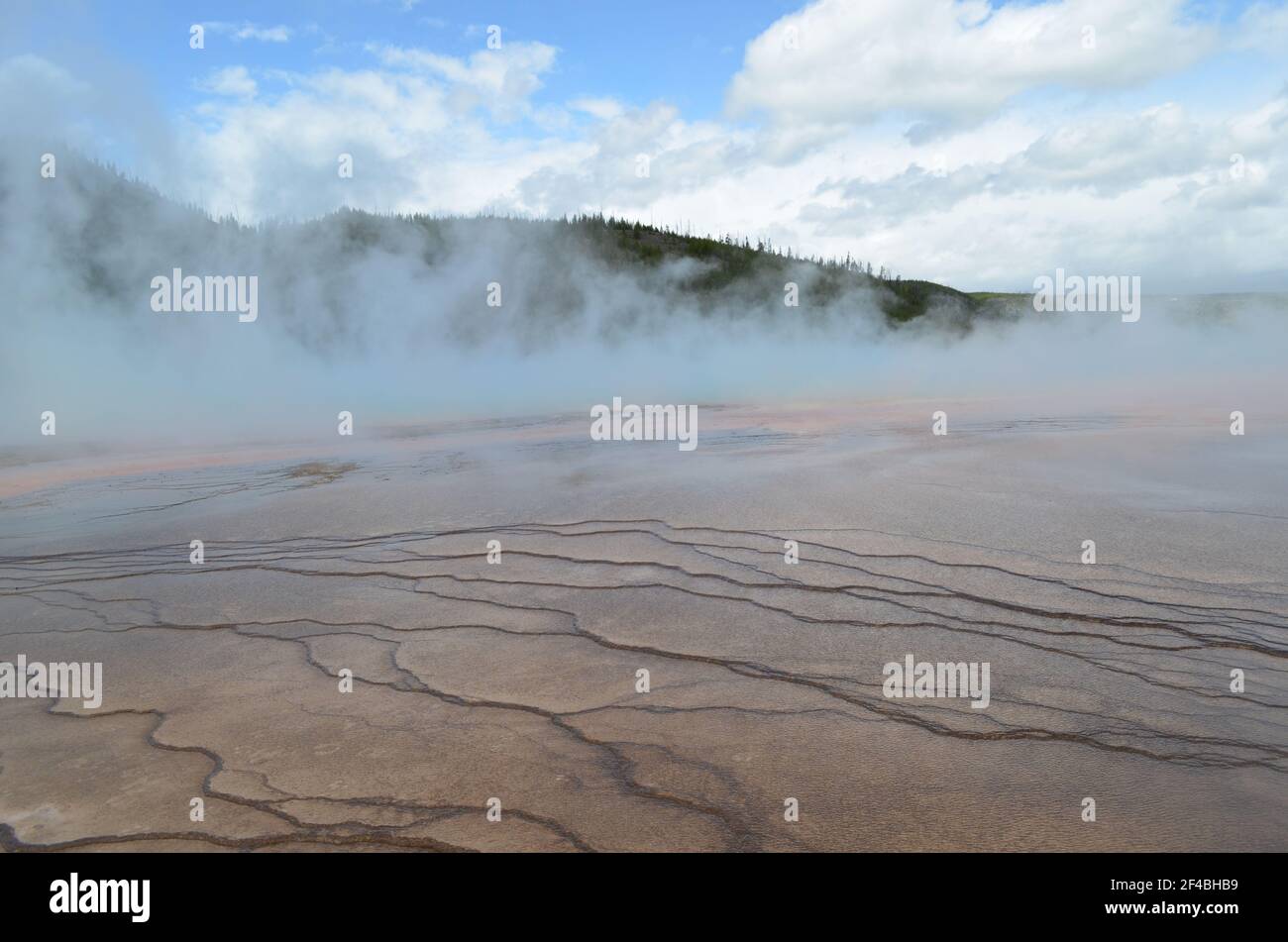 Late Spring in Yellowstone National Park: Colors of Grand Prismatic Spring Seen Through the Steam in the Excelsior Group of Midway Geyser Basin Stock Photo