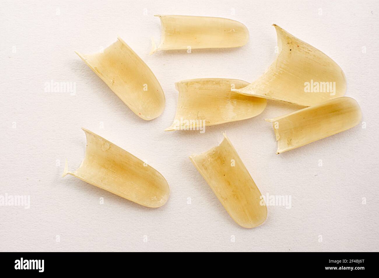 Clipped nails on white paper Stock Photo Alamy