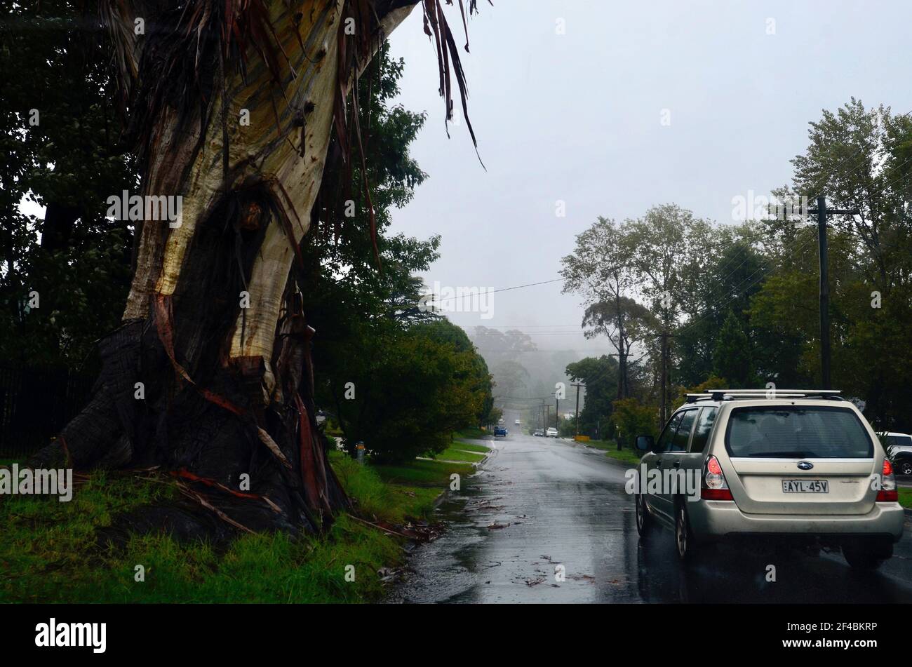 A street on a rainy day Stock Photo - Alamy