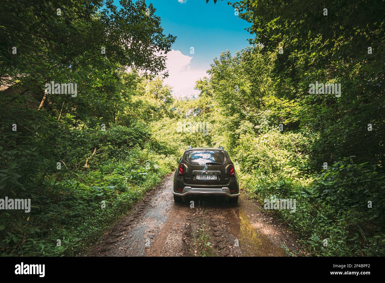 Berezki, Belarus. Car Drives Along The Village Street With Abandoned House Overgrown With Trees And Vegetation In Chernobyl Resettlement Zone Stock Photo