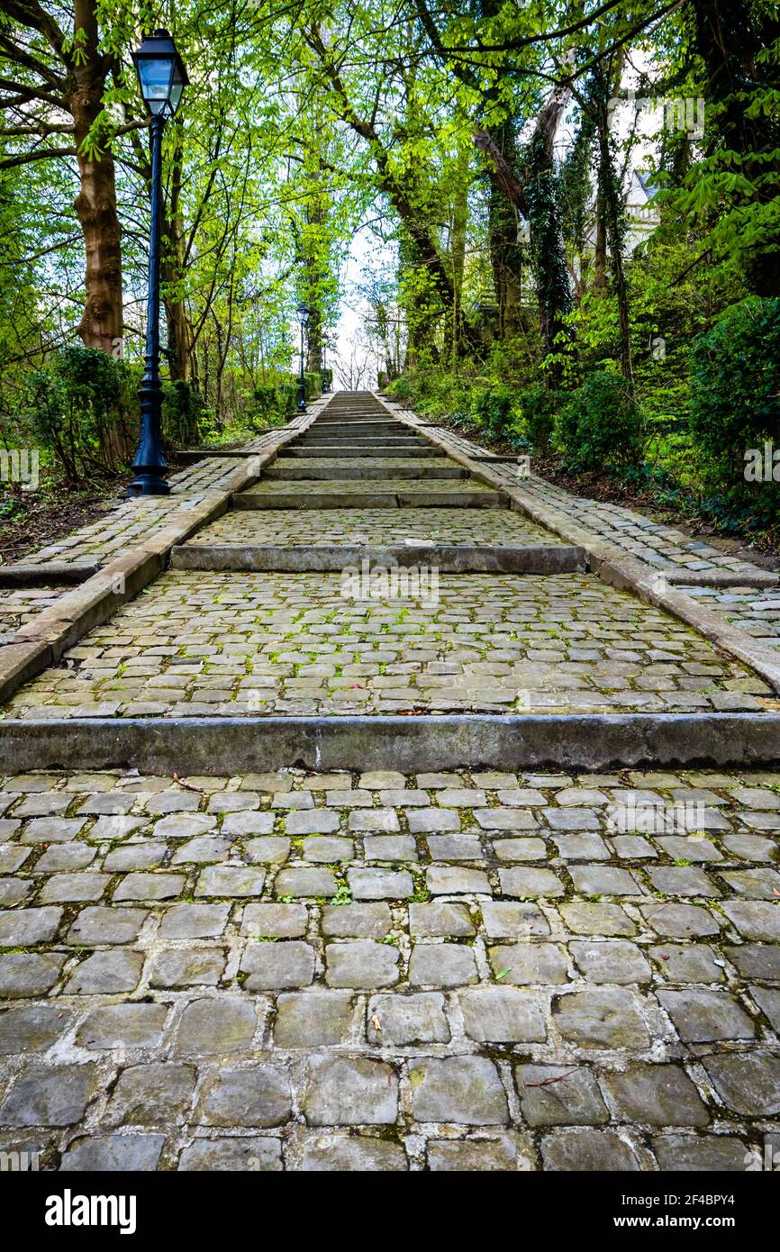 Pathway made of cobblestone in a public park Stock Photo Alamy