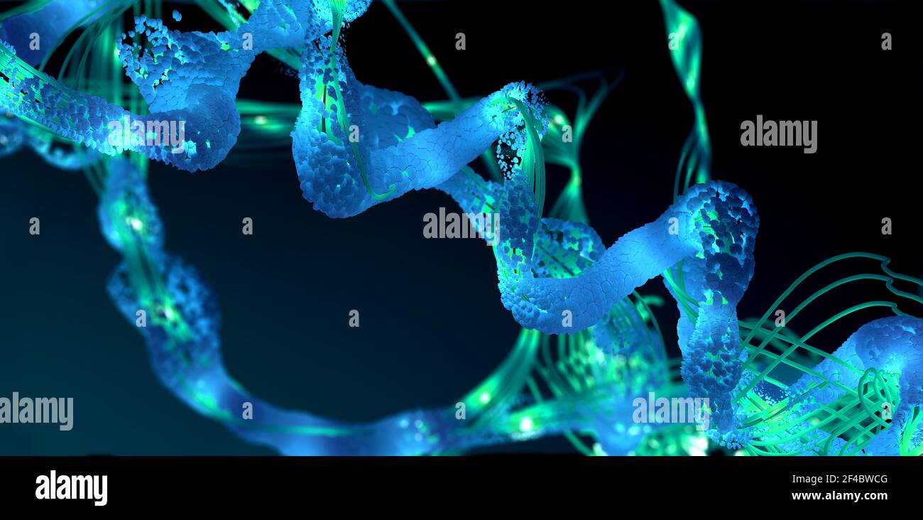 Chain of amino acid or bio molecules called protein 3d illustration Stock Photo Alamy