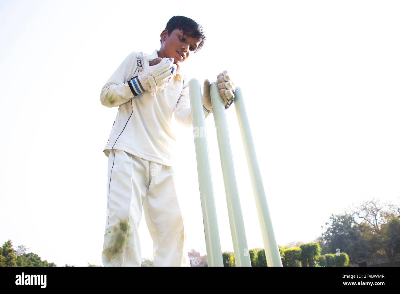a boy wicket keepers during cricket game Stock Photo Alamy