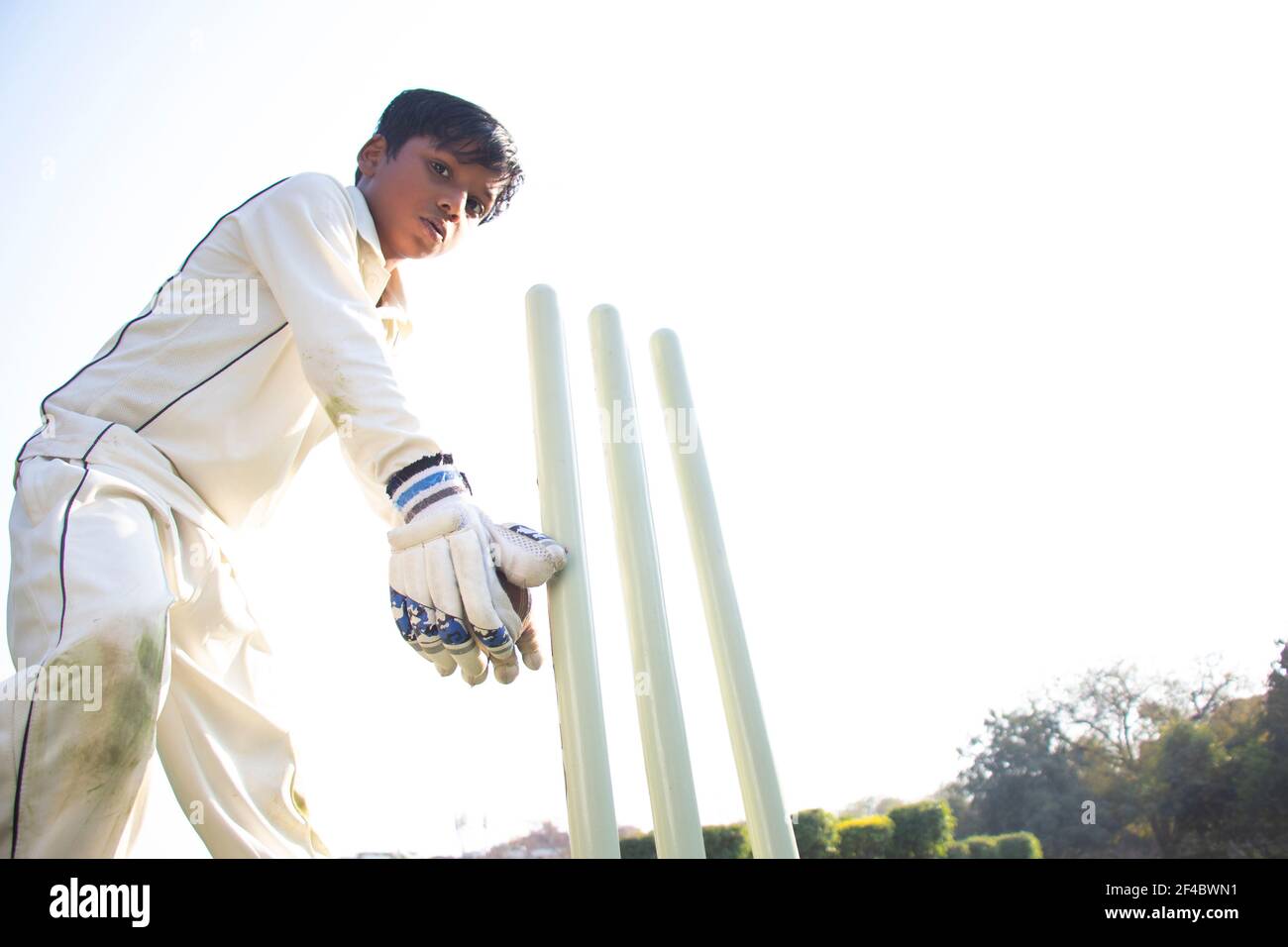 a boy wicket keepers during cricket game Stock Photo Alamy
