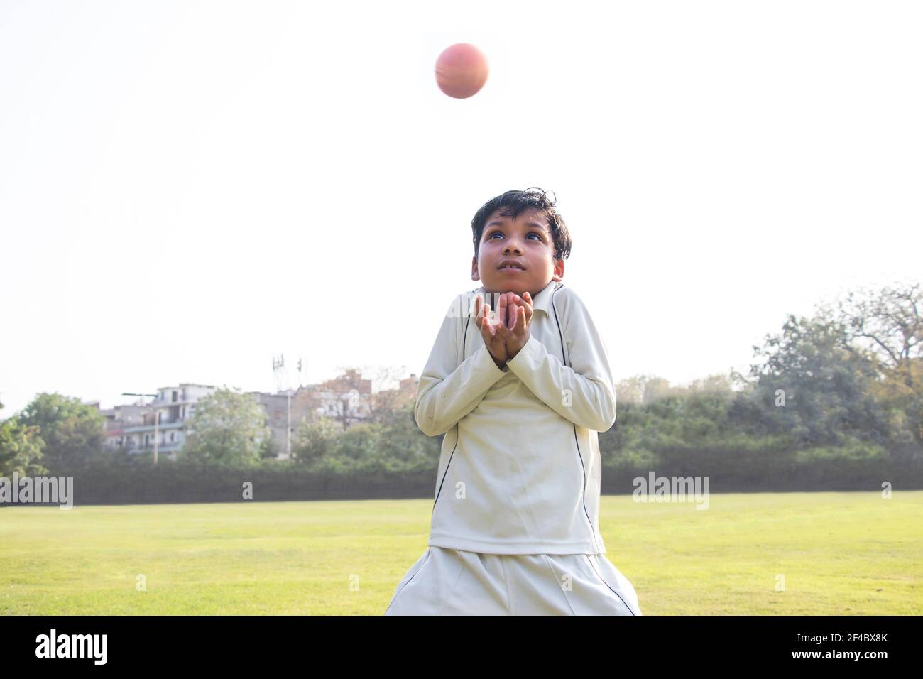 Boy catching cricket ball in the ground Stock Photo Alamy