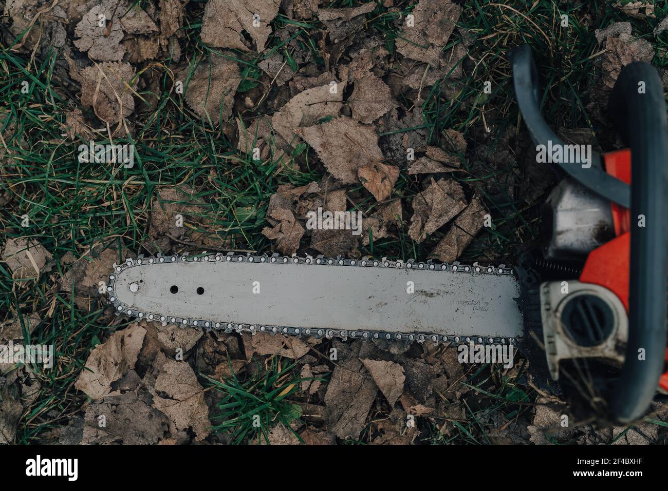 Chainsaw tree work tool in forest nature lifestyle Stock Photo - Alamy