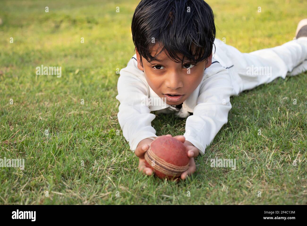 Boy catching cricket ball in the ground Stock Photo Alamy