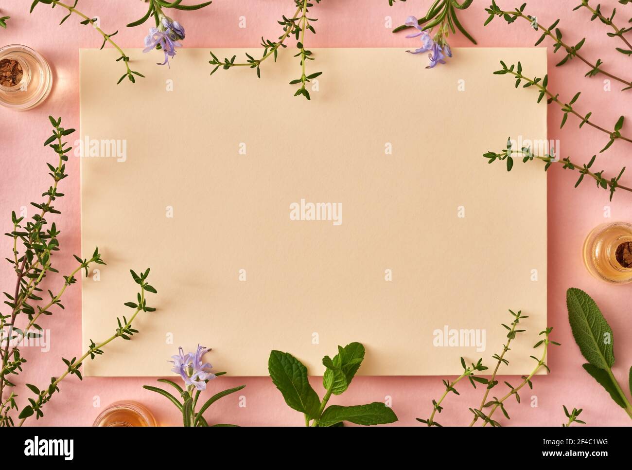 Stunning Rosemary And Peppermint Oil Scene Digital Art Stunning Rosemary And Peppermint Oil Scene Digital Art