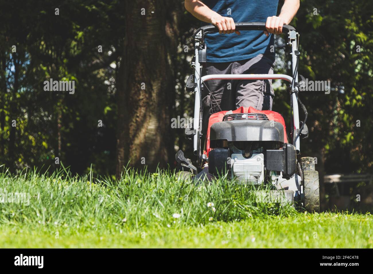 Sunny days online mower repair
