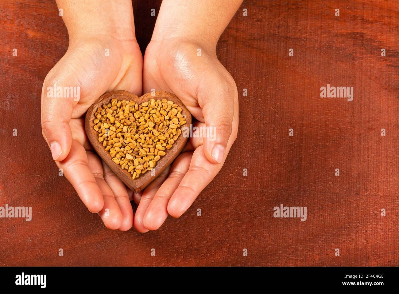 Hands holding fenugreek seeds - Trigonella foenum-graecum. Stock Photo