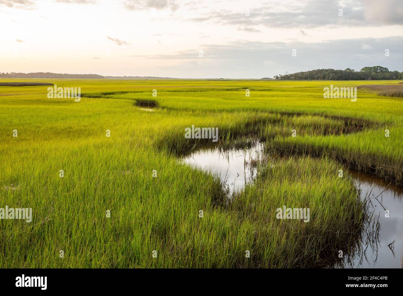 Sunrise over the salt marsh. Stock Photo