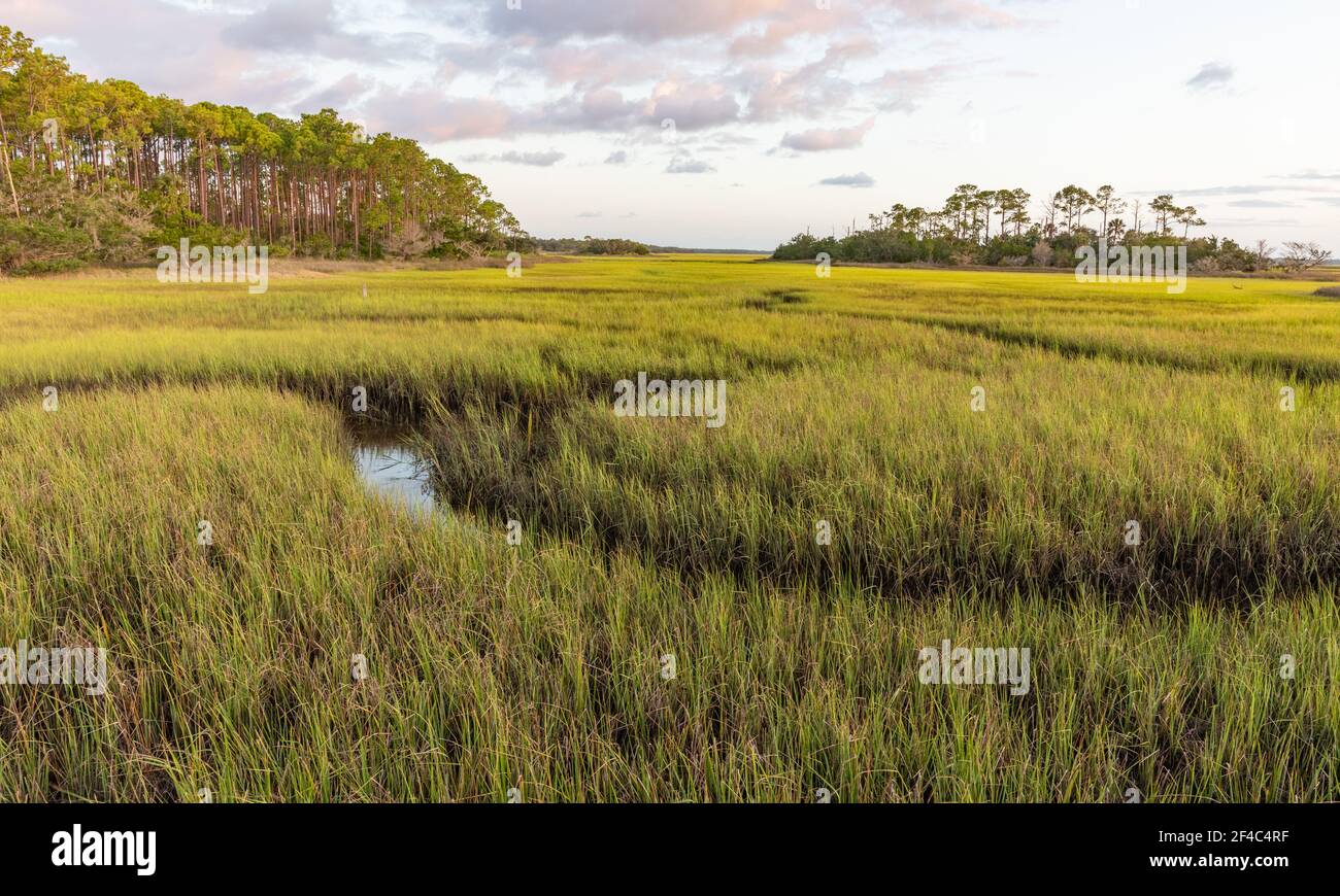 Scenic view of a saltwater marsh. Stock Photo