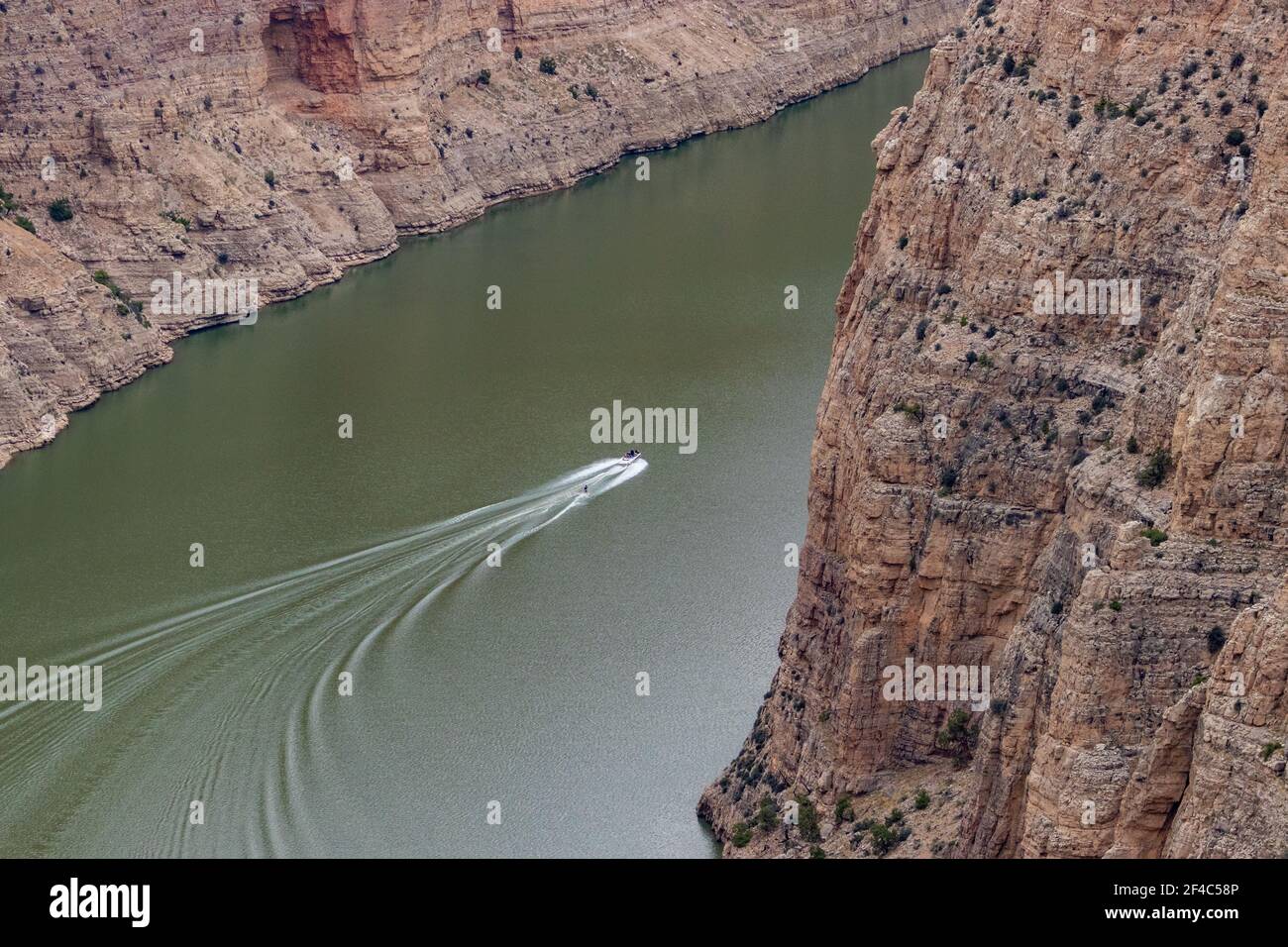 A boat pulling a water skier down the Bighorn River in Bighorn National Recreation Area. Stock Photo