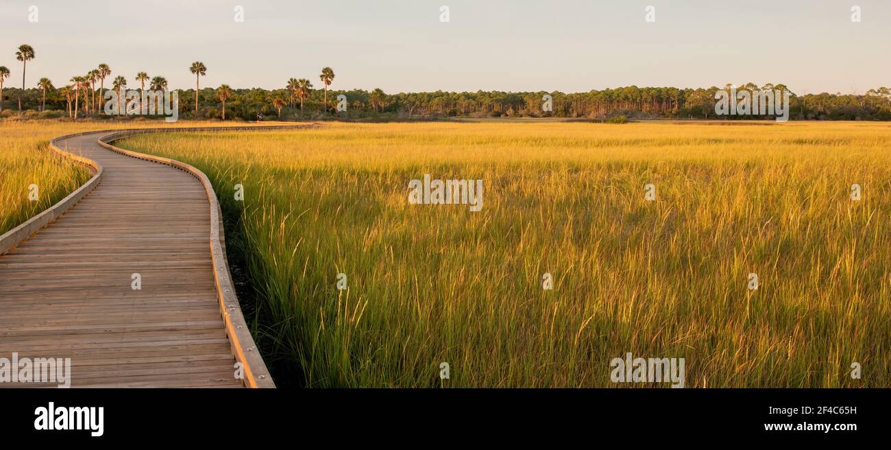 A boardwalk over a salt marsh as the sun begins to set. Stock Photo