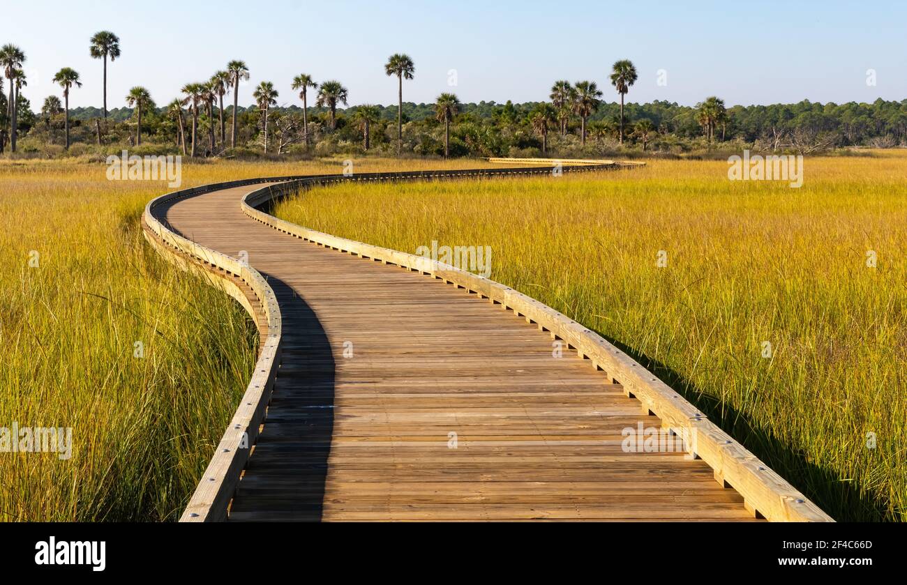 Boardwalk over the salt marsh at sunrise. Stock Photo