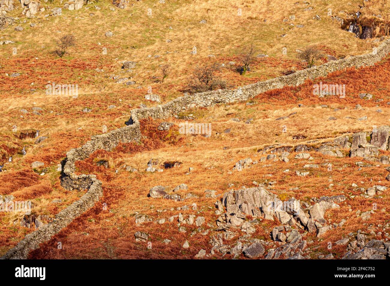 Drystone wall in sunlight, Snowdonia, North Wales Stock Photo