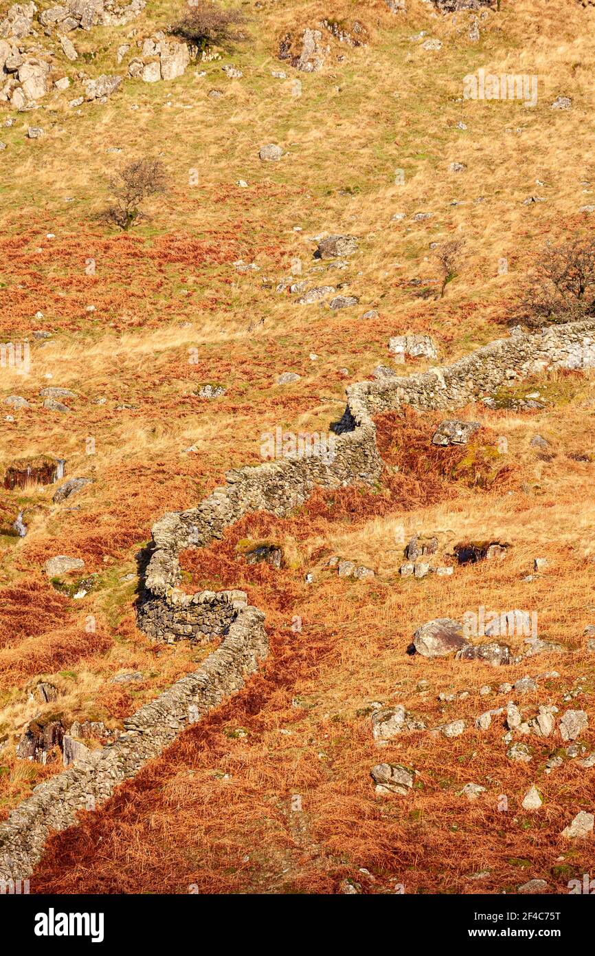 Drystone wall in sunlight, Snowdonia, North Wales Stock Photo
