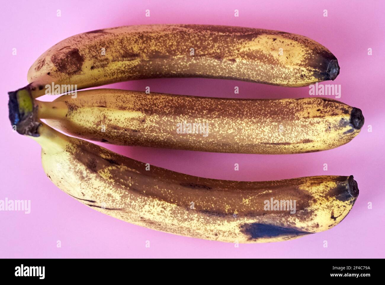 Three overripe bananas in brown spots on a pink background Stock Photo