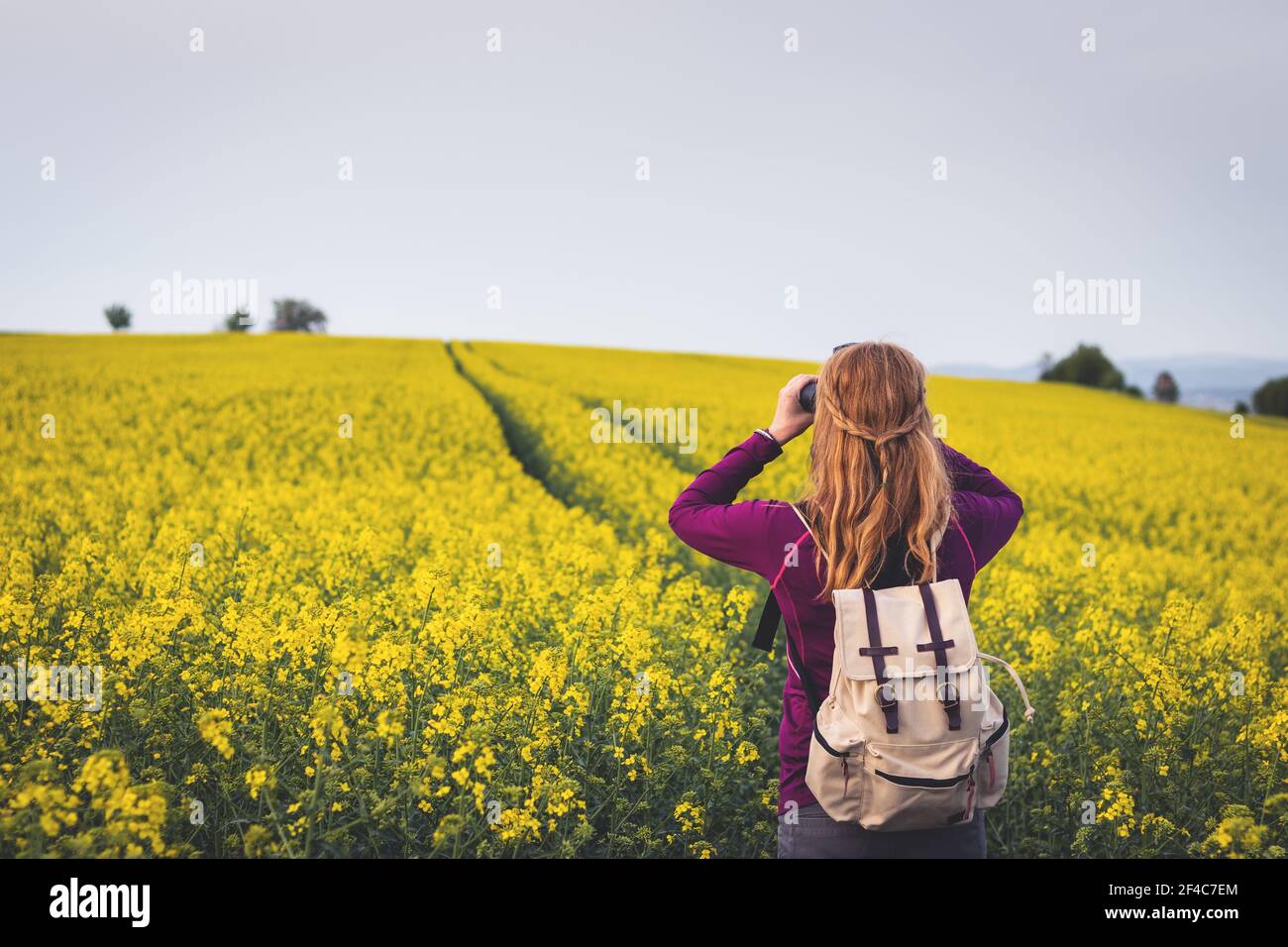 Hiking woman looking through binoculars. Bird watching in blooming oilseed field. Leisure activity in nature Stock Photo