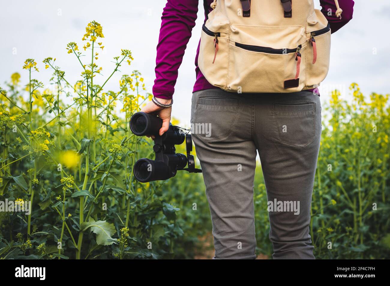 Hiking woman is holding binoculars. Bird watching in blooming oilseed field. Walking in nature Stock Photo